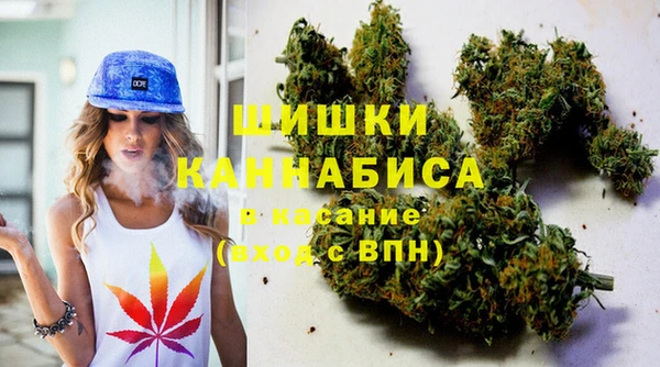 индика Бородино