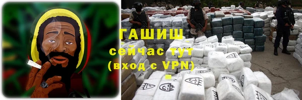индика Бородино