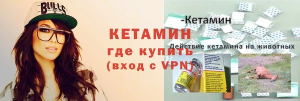 индика Бородино