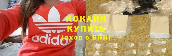 индика Бородино