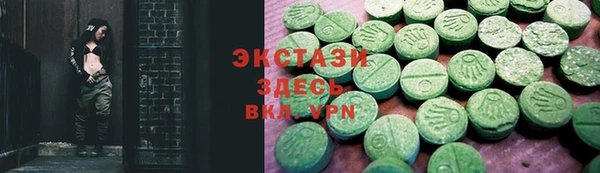 индика Бородино