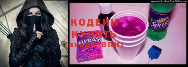 индика Бородино