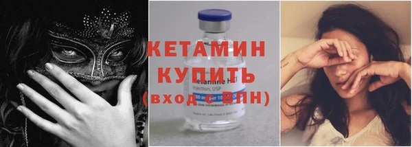 индика Бородино