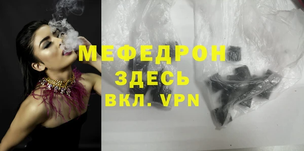 индика Бородино