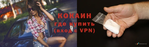 индика Бородино