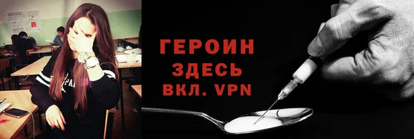 индика Бородино