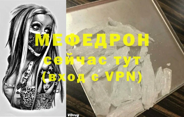 индика Бородино