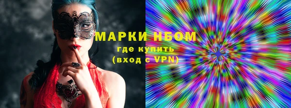 индика Бородино
