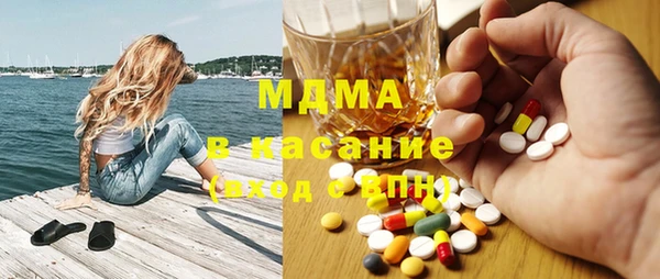 индика Бородино