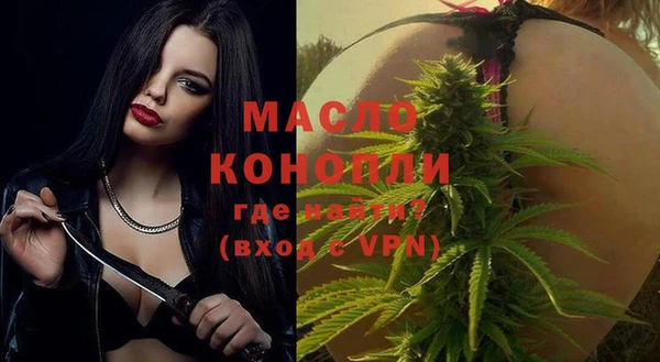 индика Бородино