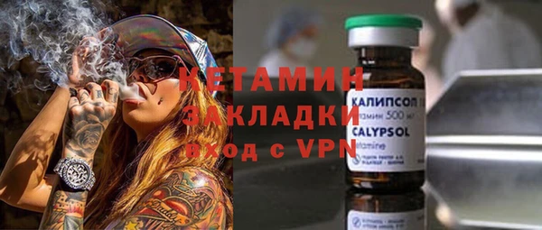 индика Бородино