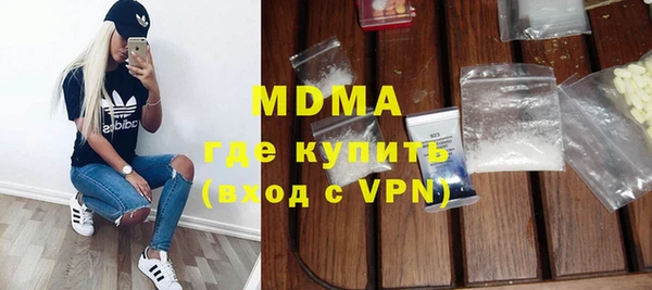 индика Бородино