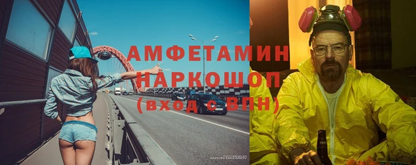 индика Бородино