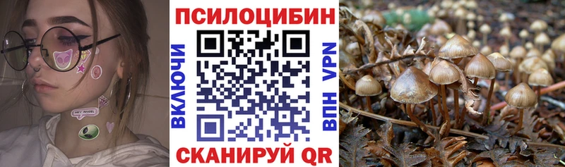 Псилоцибиновые грибы MAGIC MUSHROOMS  Купить где  Петровск-Забайкальский 
